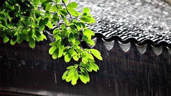 霉雨天是什么季节,梅雨时节是什么季节?图4