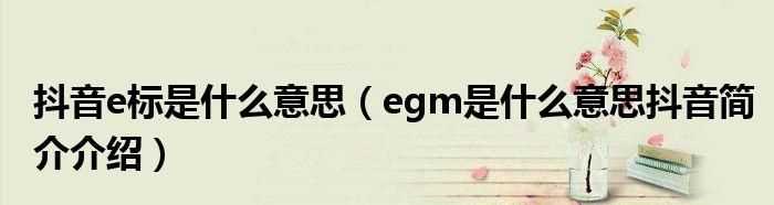 edm egm是什么意思