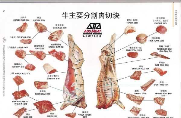 牛胸口是哪个部位,牛胸是哪个部位的肉图5