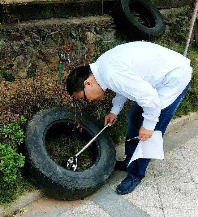 花蚊子怎么消灭掉（必须学会四招轻松灭绝花蚊子）