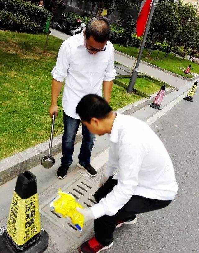 花蚊子怎么消灭掉（必须学会四招轻松灭绝花蚊子）