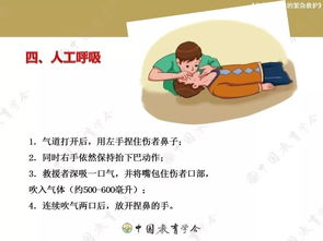 安全救护知识应学会