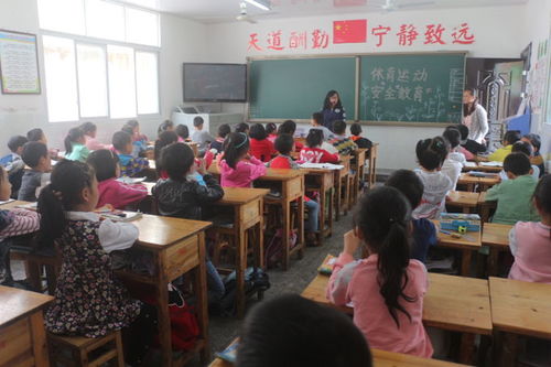 小学班会体育安全知识