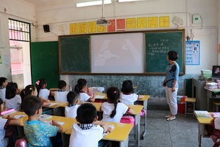 小学体育运动安全知识