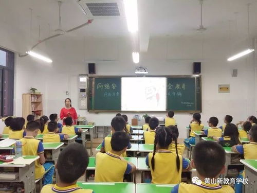 小学网络安全知识主题班会教案