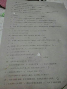 精品网络知识安全作文400字