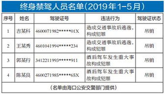 机关单位道路交通安全知识