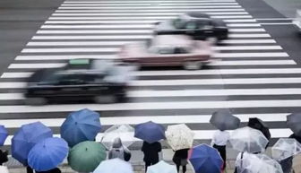 教练员的雨季安全行车知识