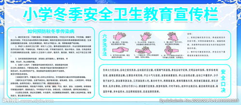 卫生安全知识宣传教育方案总结