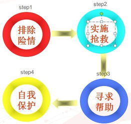 安全救护知识培训计划