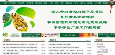 学校过期实验试剂安全知识