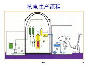 发电厂安全生产知识十不吊