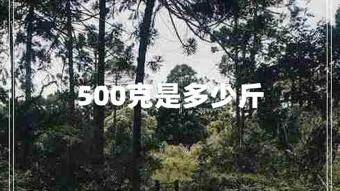 500克是多少斤