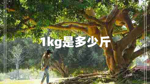 1kg是多少斤