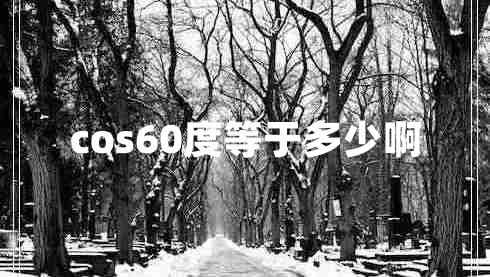 cos60度等于多少啊