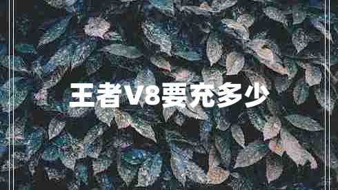 王者V8要充多少