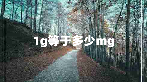 1g等于多少mg