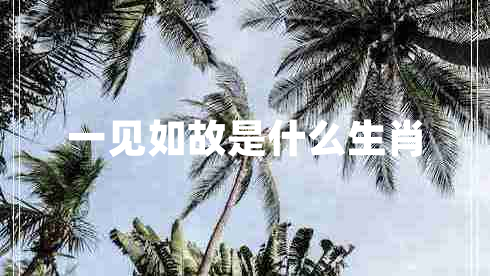 一见如故是什么生肖