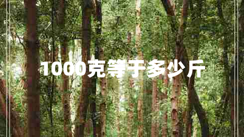 1000克等于多少斤