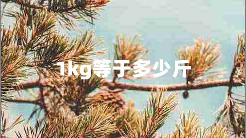 1kg等于多少斤