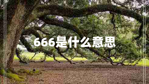 666是什么意思