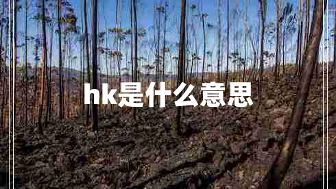 hk是什么意思