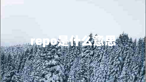 repo是什么意思