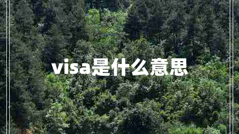 visa是什么意思