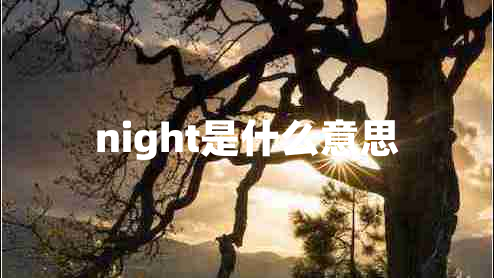 night是什么意思