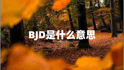 BJD是什么意思