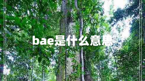 bae是什么意思