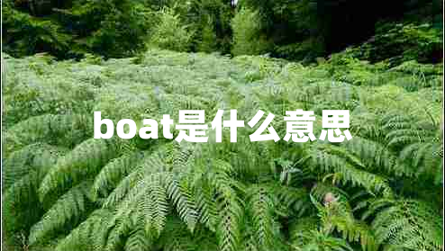 boat是什么意思