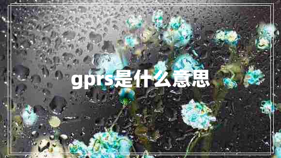 gprs是什么意思