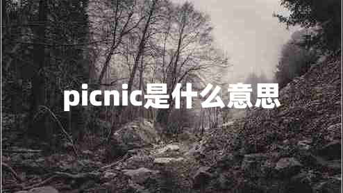 picnic是什么意思