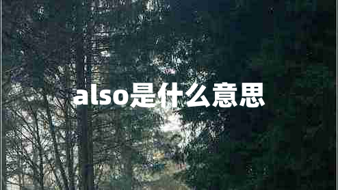 also是什么意思