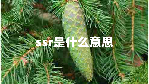 ssr是什么意思