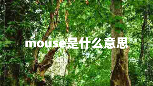 mouse是什么意思