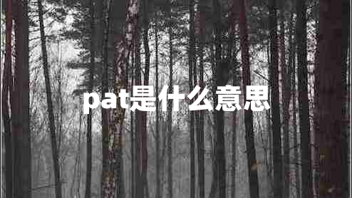 pat是什么意思