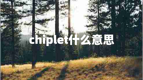 chiplet什么意思