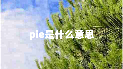 pie是什么意思