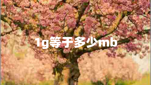 1g等于多少mb