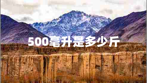 500毫升是多少斤