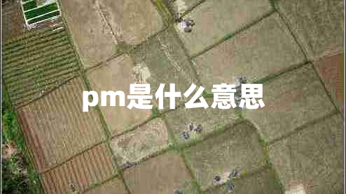 pm是什么意思