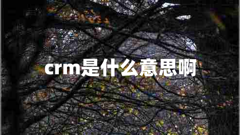 crm是什么意思啊