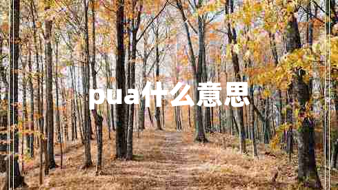 pua什么意思