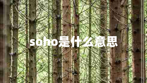 soho是什么意思