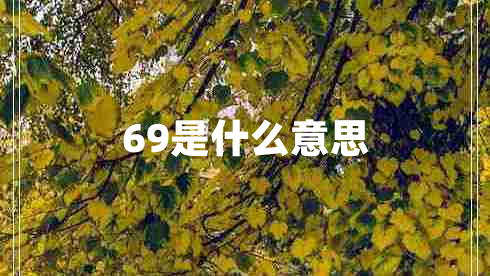 69是什么意思