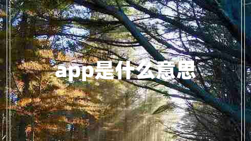 app是什么意思