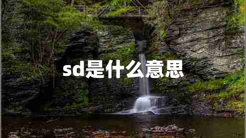 sd是什么意思