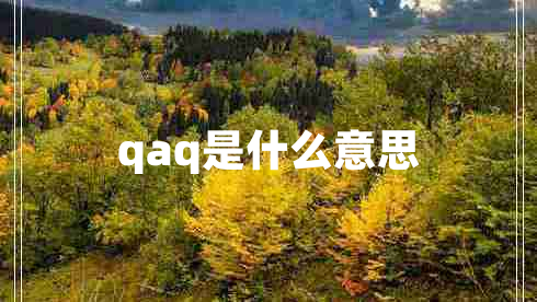 qaq是什么意思